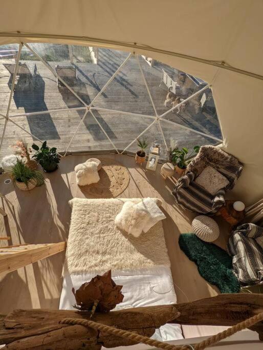 Beautiful Located Dome Hotel Wapnica  Exterior foto